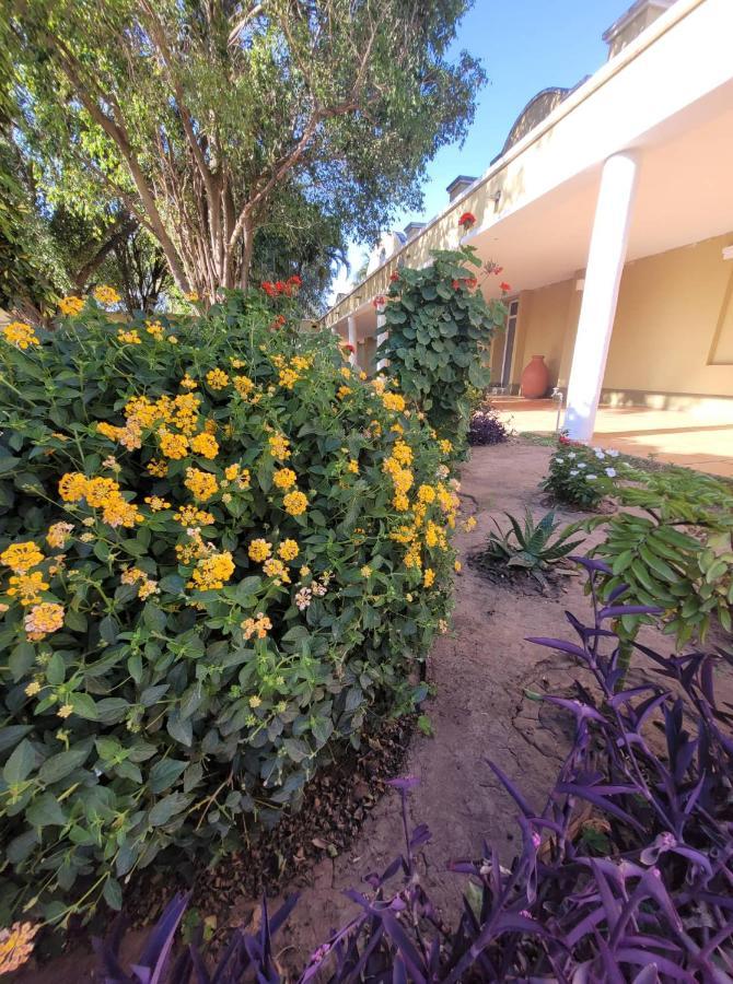 Hotel Portico Norte Tartagal Ngoại thất bức ảnh